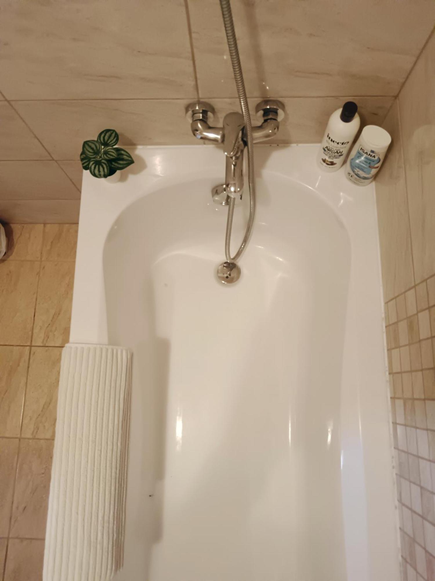 Appartement Tulipan *